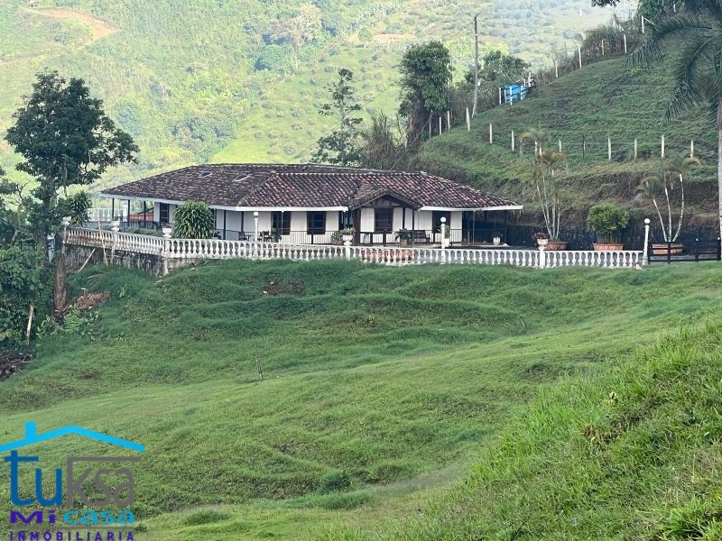 Finca de Producción en Venta en Mantequilla